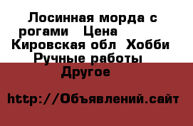 Лосинная морда с рогами › Цена ­ 8 500 - Кировская обл. Хобби. Ручные работы » Другое   